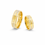 Verighete aur bicolor