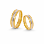 Verighete aur bicolor