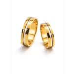 Verighete aur bicolor